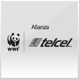 En 2003 WWF (Fondo Mundial para la  naturaleza) y Telcel unieron esfuerzos para la conservación de especies en peligro de extinción y su hábitat.
