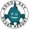 SogodBay's profile picture. PADI Scuba Diving Resort Accommodation Restaurant Bar Diveshop Diving tours Whale shark tours Padi Courses Cell +639155207274 sogodbayscubaresort@gmail.com