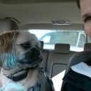 Stefanie Barron - @stefferbarron - Twitter