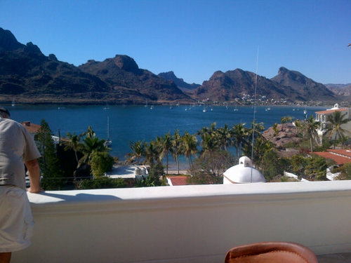 viverphant's profile picture. 