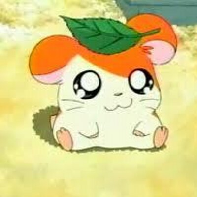 Hamtaro