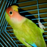 katague clone ၊||၊ DeSpeed ၊||၊ (@sukakatague) 's Twitter Profile