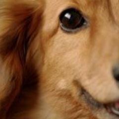 shins4852's profile picture. はじめまして、しんすけと申します。都内メーカー勤務。趣味：ギター／読書／食べ歩き