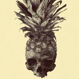 wingnut8535's profile picture. 