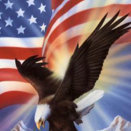 Burgers, Fries, and a side of Freedom please! #AmericanProblems