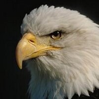 Mark Twain School (@marktwaineagles) 's Twitter Profile Photo