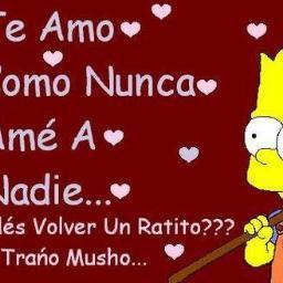 alan_machorro's profile picture. 