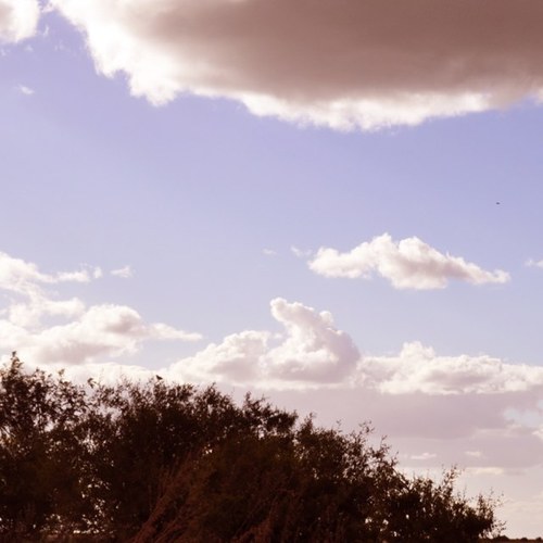 paulinavetranov's profile picture. 