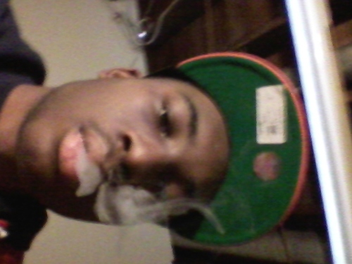 as long as im living my blunt lit