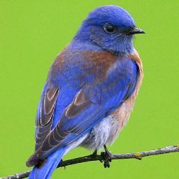 27Acts's profile picture. Fiber artist