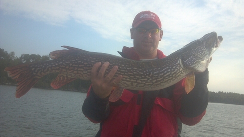 bresee_t's profile picture. 