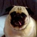 Maryanne Brown - @MaryanneBrown17 - Twitter