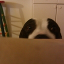 Katie Grayson - @KatieRose626 - Twitter