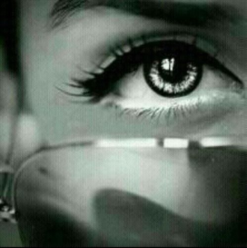 الخااص ممنووع ♥. GraduateSenior2016.  Administrative Sciences,,KAU
