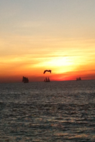 Daniel_G_33's profile picture. Marketing and Business Consultant