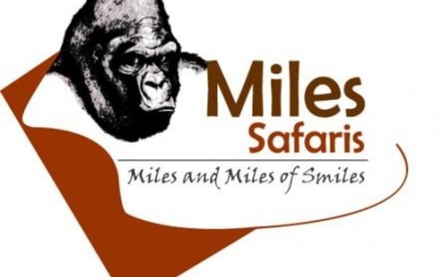 Milesafaris_ug's profile picture. Adventure at the pearl of Africa for you