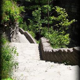 Vince82much's profile picture. Vinny here, this one liner sums me up pretty well,I used to think I was indecisive, but now I'm not too sure.