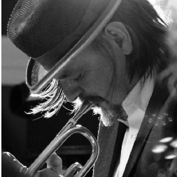 daniellappmusic's profile picture. Musician/Dad