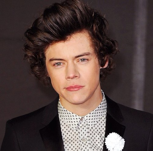 1Dbabesforever1's profile picture. This account is run by two best friends, who are in love with five guys that don't even know they are alive...