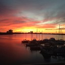 Sally Rowell - @rowell_sally - Twitter