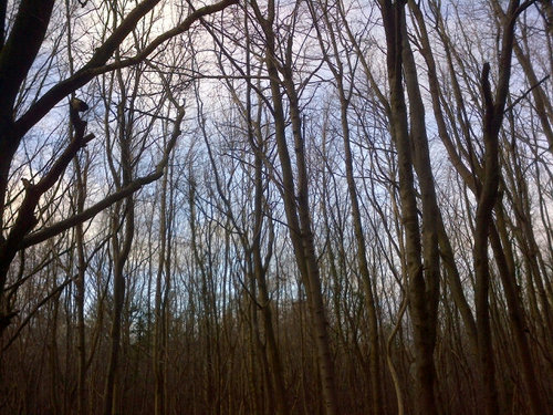 LouisePeo's profile picture. 