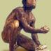 Alin B (@eoanthropus) Twitter profile photo