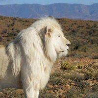 drskywalker (@drskywalker1) 's Twitter Profile