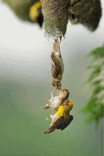 JudyTabitha's profile picture. 