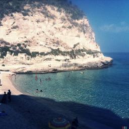 Yesssd55's profile picture. 