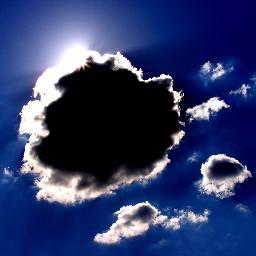 ScotlandScienceBites Profile