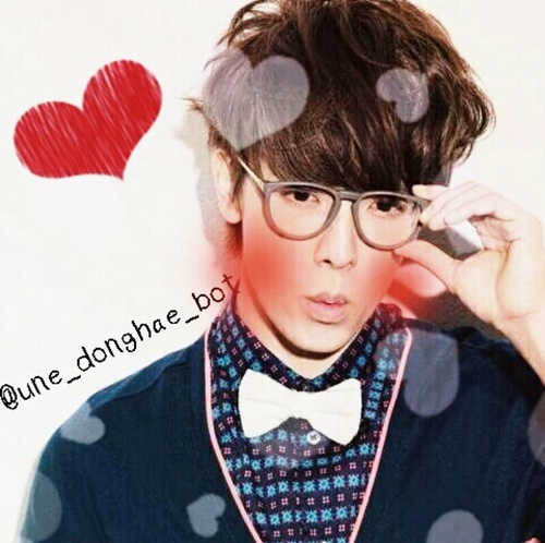ドンペロ ドンへ Une Donghae Bot Twitter ドンペロ ドンへ Une Donghae Bot Twitter
