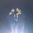 Daan_Sw's profile image