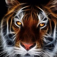 ニシタク【個人融資】【お金に困ってます】【即日即金】【金欠】【自営業】【専業主婦】【夜職】 (@pisano_lio) Twitter profile photo