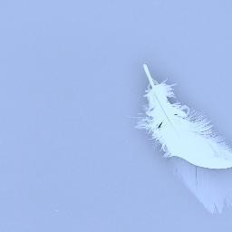 Mrsdaedalus's profile picture. Hats donned: Assistant Principal | Literacy Co-ordinator| Literacy Consultant | Uni Lecturer & BEd Prim Course Co-ordinator | Learning Support | #IBPYP teacher.