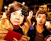 I'm a Directioner!