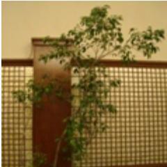 mylink2you's profile picture. 