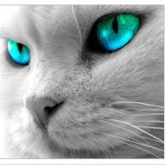 My goal in life is to love everyone and to help people and animals.