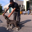 antonio sofia - @antoniosofia2 - Twitter