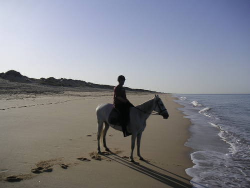 karlbenyon's profile picture. likes horse riding scuba diving, music, playing piano, saxaphone .