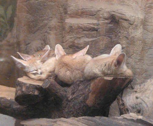 wmnhoyu2's profile picture. @jiyun6628 카오페이에/비둘기/페둘기챤의 리리리밋계