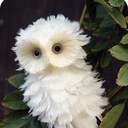 Becky Bauer  - @beckybauer_23 - Twitter