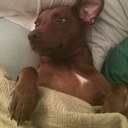 Michelle Wilber - @WilberMichelle - Twitter