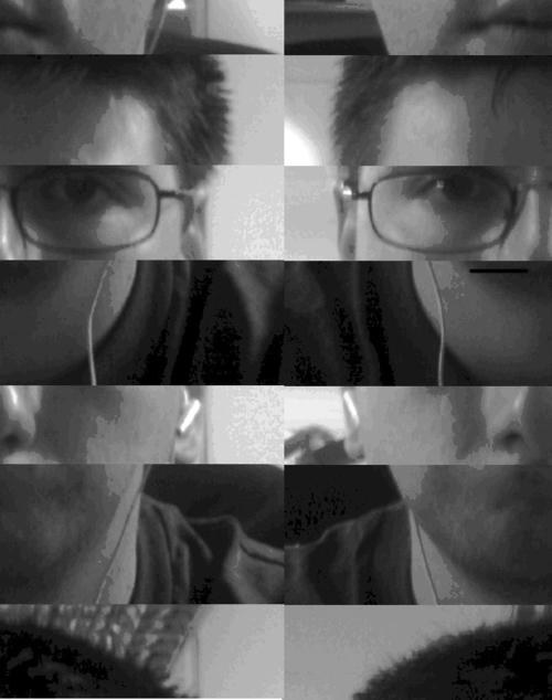 nascutobosit's profile picture. twitt for fun