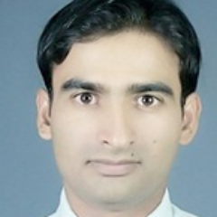 AcademicHelp1's profile picture. 