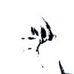 CarrieSays13's profile picture. Photographer, author, artist, ex-model, lover of shoes, red wine and Maltesers.