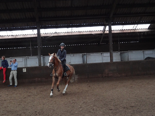 RomeoDeBeste's profile picture. WE LOVE ROMEO3 VOLG HEM HIER3 HIJ IS DE BESTE3 ROMEO4EVER3