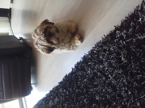 coolman51's profile picture. 