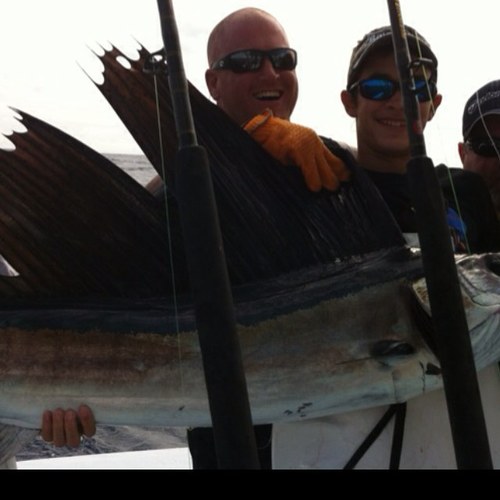 angelschargers's profile picture. 