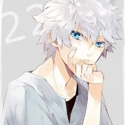 Well, i'm practically got nothing to say. I'm the Zoldyk assassin. those words should explain it. {#RP}