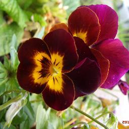 MTARQUIS's profile picture. 